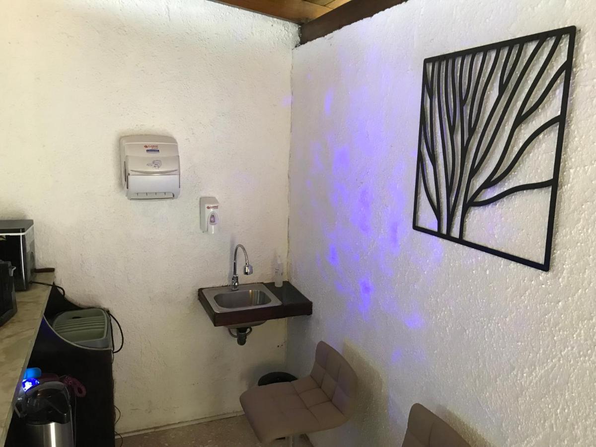 Corazon Sabana Bed & Breakfast San Jose  Eksteriør bilde